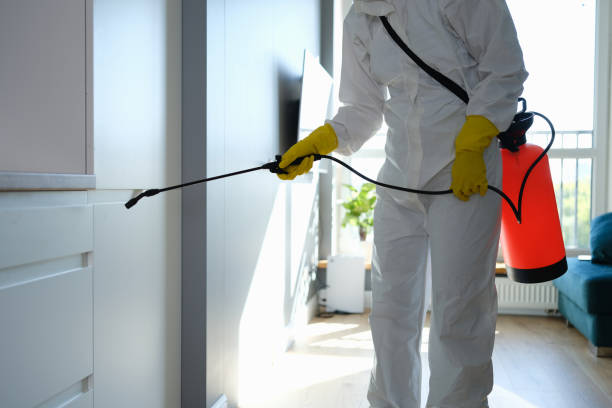 Best Residential Mold Removal  in Nixon, TX